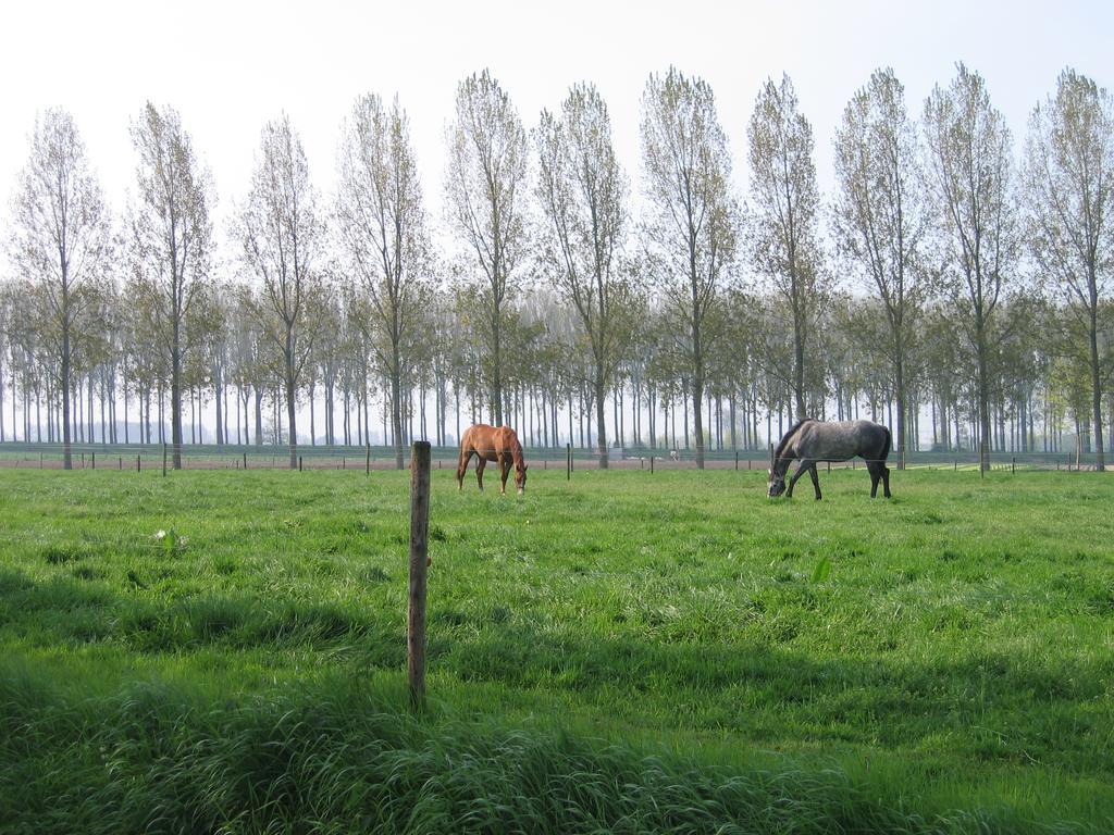 Jardin De Lieze Maldegem Exterior foto